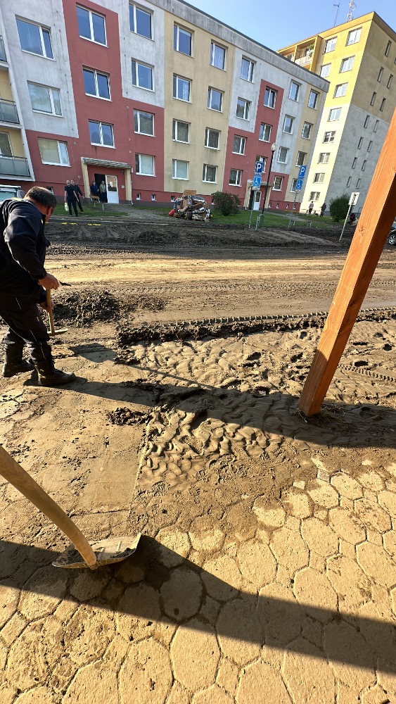 F9A55280-9B67-4EE5-9F08-CAE05C7F8444